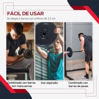 HOMCOM Juego de 4 Discos de Pesas de 5 kg y 10 kg Juego de Placas de Pesas con Orificio de Ø25 mm para Entrenamiento de Fuerza Levantamiento de Pesas Negro - details 5