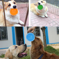 Juguetes Para Perros Pequeños Y Medianos 3Pcs Bola Masticable De Espina Suave TPR Con Sonido Squeaky Flotante Para Piscina Juguete Para Arrojar Y Buscar - details 6
