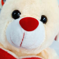 Peluche Osito Con Corazon TE AMO 20cm,te amo te quiero,Día de San Valentín,cm,fespu - details 1