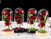 Kit de Rosas de La Bella y la Bestia - Rosa Eterna con Cúpula de Cristal con Luz LED, Regalo Perfecto para Cumpleaños, Aniversarios y Bodas - details 1