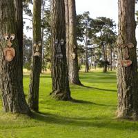 Decoración De Jardín Arte De Escultura De Rostro De Árbol En Resina Caricatura De Anciano Con Caras Y Piernas Para Exterior - details 0