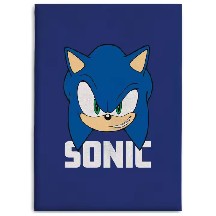Manta polar Sonic The Hedgehog - 1
