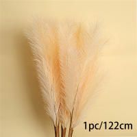 1Pcs Decoración De Pampas Falsa Pluma De Grama Artificial Phragmites Australis Decoraciones De Vaso Plantas Falsas De Juncos Eterna Flor Silken Para Adornos Del Hogar - details 4