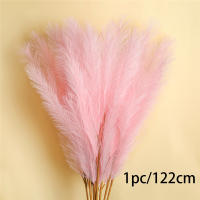 1Pcs Decoración De Pampas Falsa Pluma De Grama Artificial Phragmites Australis Decoraciones De Vaso Plantas Falsas De Juncos Eterna Flor Silken Para Adornos Del Hogar - details 1