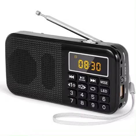 Radio portátil, radio FM con batería recargable de gran capacidad (3000 mAh), compatible con MP3/SD/USB/AUX, color negro - 1