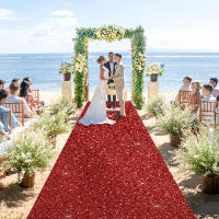 Carpetilla De Fiesta Plateada No Tejida Para Bodas Cumpleaños Navidad Agradecimientos Al Aire Libre Accesorios Banquete Pasillo - details 3