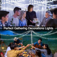 Luces De Cadena De Hadas 1000/500LED Para Decoración De Navidad Exterior Impermeables Con Control Remoto Para Árbol Calle Boda Fiesta - details 12