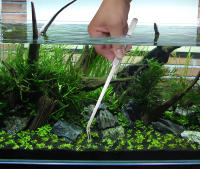 Herramientas De Acuario Accesorios De Acero Inoxidable Duro Pinzas Y Tijeras Para Plantas Y Limpieza De Tanque De Peces - details 7