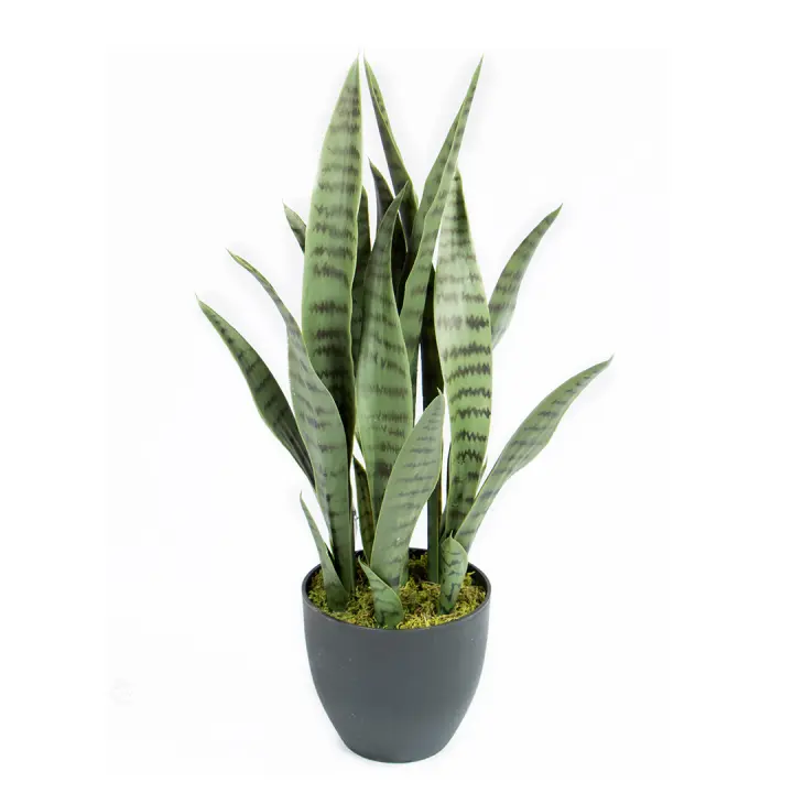 Catral | Planta Artificial Sansevieria 70 Cm | Plantas Artificiales Realistas | Decoración Para Hogar Y Oficina | Planta Artificial Grande | Perfecta Para Ambientes Modernos - 1