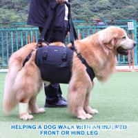 Silla Portátil Para Perro Soporte De Piernas Traseras Y Cadera Para Ancianos Y Perros Llorosos Ayuda En La Rehabilitación Y Levantamiento - details 1