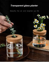 Maceta Creativa Para Plantas Hidroponicas Miniatura En Vidrio Transparente Decorativa Para Casa Y Salon Uso En Mesas - details 0