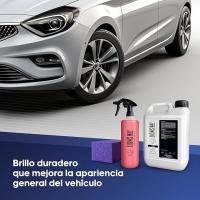 LIONSWAY - TIRESHINE 5L – Tratamiento Neumáticos y Plásticos, Extra Brillo Duradero, Hidratante con Aplicador - details 2