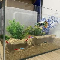 Túnel De Cueva Para Camarones En Acuario Decoración Para Tanque De Peces Ocasión Específica No Aplique Químicos Producido En China - details 3