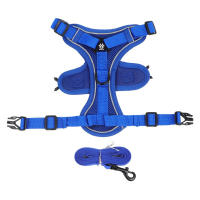 Juego De Correa Y Enjambre Para Gato Prueba De Fuga Ajustable Y Respirable Para Pequeños Y Medianos Perros Y Gatos Con Cuerda De Pecho Para Gatos Chicos - details 7