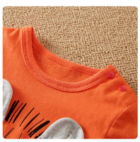 Conjunto De Ropa Bebé Niño Otoño Primavera Con Estampado De León Naranja De Algodón De Manga Larga Y Pantalones 0-18 Meses - details 2
