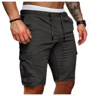 Shorts Casuales Para Diario Viaje Pantalones De Hombre Estilo Regular Cintura Media Polyester Primavera Verano Con Bolsillos - details 24
