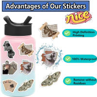50pcs Pegatinas Góticas Oscuro Academia Anime Retro Para Laptop Cuaderno Teléfono Decoración Graffiti Resistente Al Agua - details 3