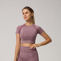 Camiseta De Yoga Sin Costuras Para Mujer Top Corto De Manga Fitness Ropa Deportiva Para Gimnasio Correr Sportswear Polyester Nylon Spandex - details 24
