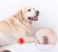 Manguito De Soporte Para Patas De Perro Protección Contra Artritis Y Recuperación De Lesiones Cubierta Protectora Para Articulaciones De La Pata Material De Poliéster - details 2