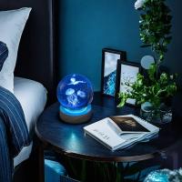 Lámpara De Noche LED De Cristal Con Engrafado De Jirafa 3D Regalo De Cumpleaños Para Novia Clase Amiga Esposa Navidad - details 4