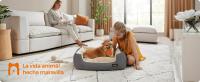 Feandrea Cama para Perros, Sofá Cama para Mascotas, Alfombra Extraíble y Reversible, Bordes Elevados, Base Antideslizante, Talla M, 70 x 55 x 21 cm, Gris Paloma y Beige Arena/Marrón Café y Beige Arena - details 0