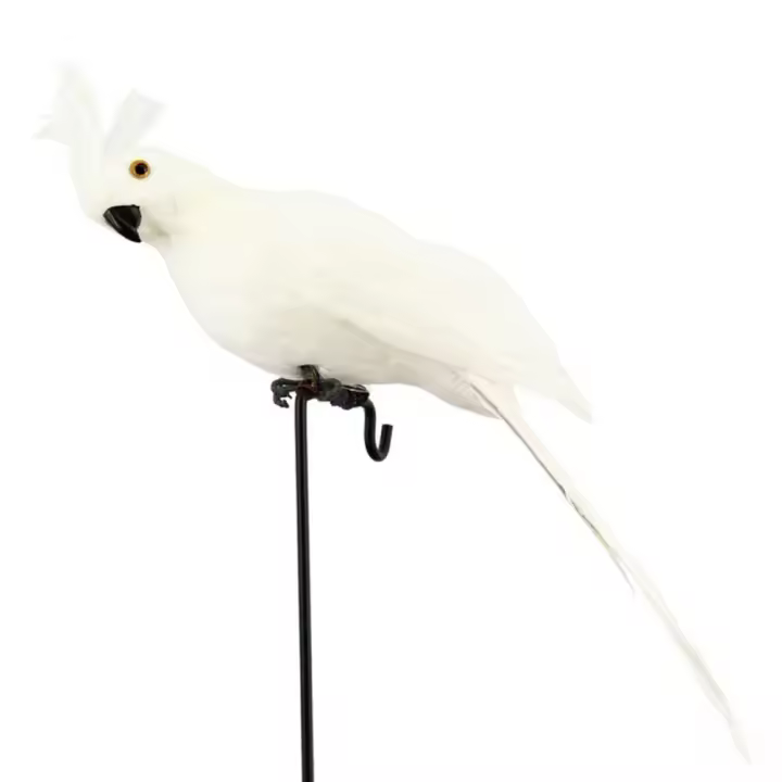 Adorno De Jardín Imitación De Pájaro Pirot 25cm Decoración Artificial De Pico Y Plumas Para Piratear Sobre Hombro - 1
