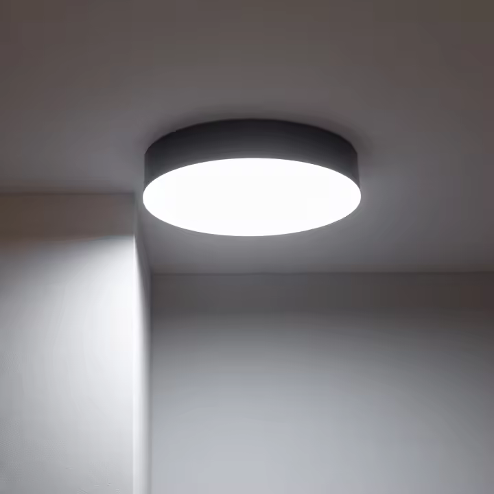 Ledkia Plafón Exterior LED 21W Circular para Exterior Ø320 mm Juno IP65 - 1