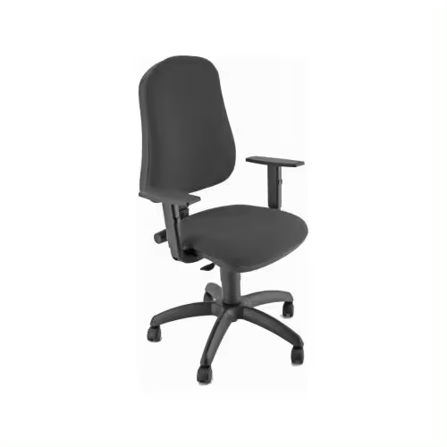Varios Silla Operativa Ergonómica Negra con Reposabrazos Ajustables - 1