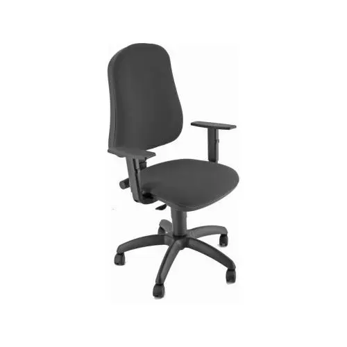 Varios Silla Operativa Ergonómica Negra con Reposabrazos Ajustables - 1