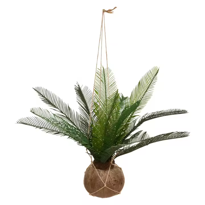Atmosphera - Palmera Artificial Cuba en Olla de Coco de Palma H 50 - 1