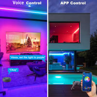 ColorRGB Tiras LED RGB 5050 Wifi Con Alexa Luz Inteligente Sincronización De Música Para Decoración De Habitaciones Y Retroiluminación De TV - details 0