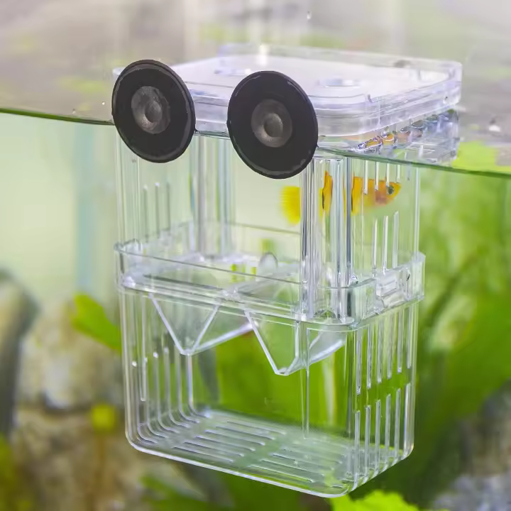Caja De Cría Para Peces Acrílico Durable Para Betta Y Camarones Incubador De Hatching Para Pequeños Peces Y Camarones - 1