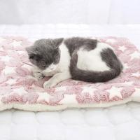 Alfombra De Mascota Suave Para Gatos Y Perros Alfombrilla De Dormir Corta De Peluche Cálida Almohadilla Para Gatos Recién Nacidos Accesorios Para Mascotas - details 3