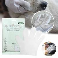 6PCS Guantes Desérgibles Para Mascotas Perros Y Gatos Toallas De Limpieza Seca Y Húmeda Guantes Limpia Sin Enjuague Desodorizante - details 0