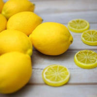 13 Pcs Tiras De Limón Simulación Para Fotografía De Cocina Y Decoración De Mesa Artificiales Frutas COTON Tamaño 1 - details 2