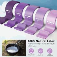 Banner - Set de 5 Bandas Elasticas Musculacion, Bandas Elasticas Fitness con Bolsa Almacenamiento, Moradas