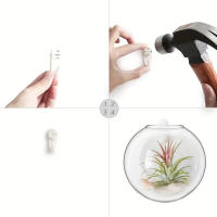 Terrario De Vidrio Para Plantas Colgante Estación De Propagación Vaso De Pared Decoración Para Oficina Y Hogar Moderno - details 9