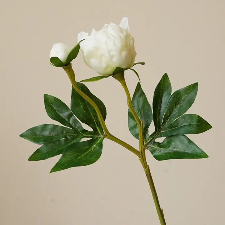 Arreglo De Flores De Seda Estilo Europeo Con Dos Cabezas De Peonía Simuladas Decoración Suave Para Bodas Y Hogar Arte Floral - 1