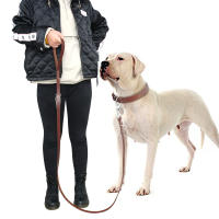 Correa De Cuero Para Perro Pitbull Duradera Con Hebilla De Escalada Adecuada Para Perros Medianos Y Grandes Para Actividades Al Aire Libre - details 8