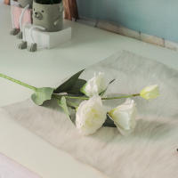 3PCS Flores Artificiales De Rosa Blanca Y Hojas De Eucalipto Peonía Bouquet Decoración Para Bodas Fiesta Vaso Hogar Sin Mantener Flores Naturales - details 5