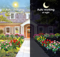 Luces Solares LED Impermeables De Flor De Azalea Para Jardín Patio Decoración De Camino Luz De Paisaje Exterior Regalo Decorativo Mejor - details 6