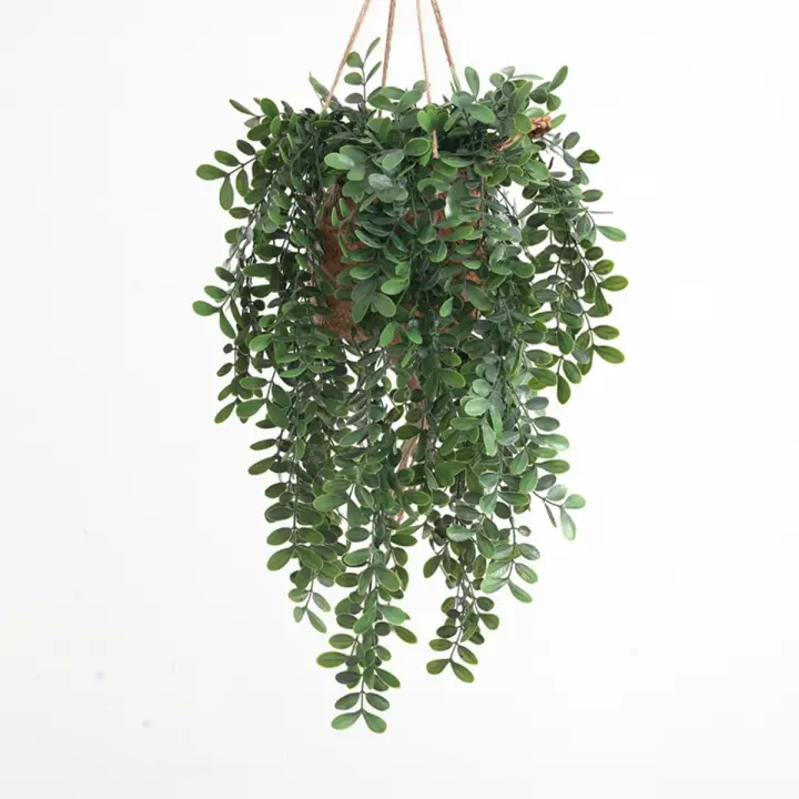 1PC Vínculo De Hiedra Artificial Plástica Para Decoración De Boda Año Nuevo Y Navidad En Jardín Hogar Sala De Estar Colgante En La Pared - 1
