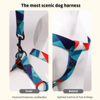 Juego De 3 Piezas Para Perros Abstracto Correa Y Correa De Anzuelo Con Arnes De Cuello En Nylon Para Caminar - details 3