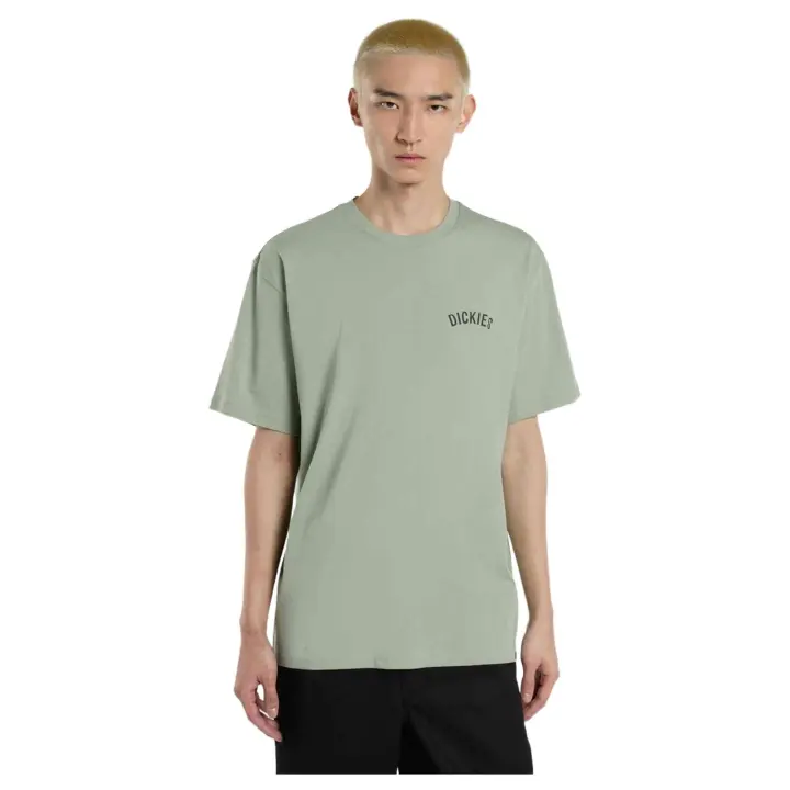 Textil Lifestyle marca Dickies modelo Dk0A4Z99K361 para hombre en color verde agua - 1