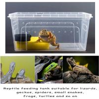 Caja De Cría De Reptiles Transparente Terrario Para Tortugas Geckos Sapos Transporte De Animales Habitaci\u00f3n Plástico - details 3