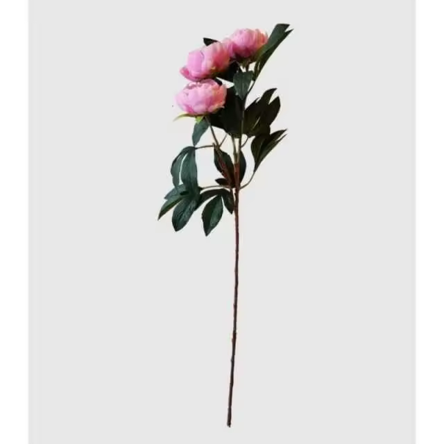 Flor Peonia 3 Rosas     EkilikuaHome - 1