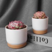Maceta Autoidal Para Plantas Pequeñas Y Suculentas Doble Capa Con Almacenamiento De Agua Estilo Clásico Material Plástico - details 4