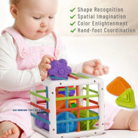 Juguete Educativo Montessori Para Bebés De 1-2 Años Juego De Aprendizaje Sensorial Y Motor Sorteo De Formas Juguetes Para Niños - details 4