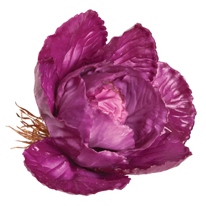COL MORADA - 1