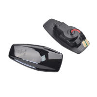Par De Indicadores Dinámicos LED Para Hyundai Tucson Terracan Coupe Trajet Matrix Elantra XD I10 Getz Sonata XG Marcador Lateral De Faros - details 4